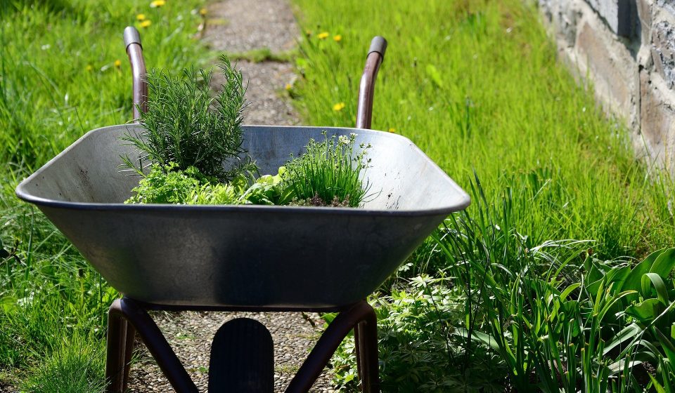 garden 6201943 1920 2